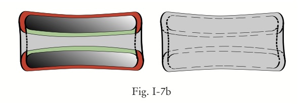 FiginsuI7b