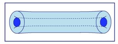 Figure2