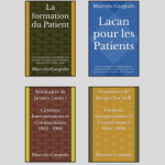 270X295 Marcelo Gargiulo PARUTION