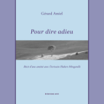 270X295 parutionAMIEL 25