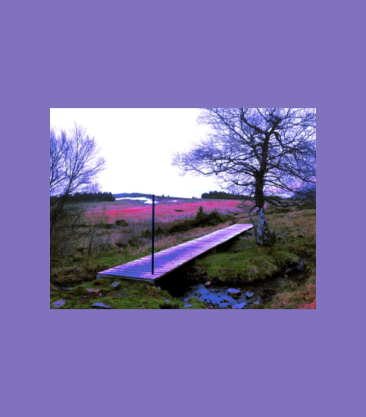 Transmettre la psychanalyse